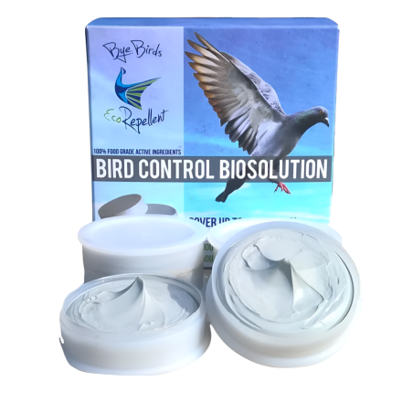Pâte répulsive Bye Bird
