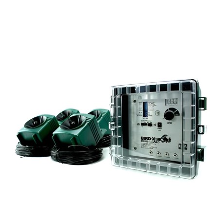 BBPRO Sonore + Ultrasonore