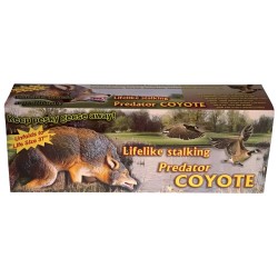 Prédateur Coyote réaliste