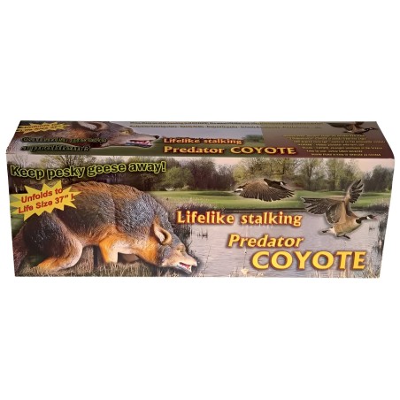 Prédateur Coyote réaliste