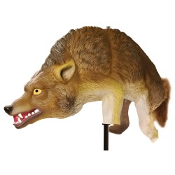 Prédateur Coyote réaliste