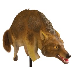 Prédateur Coyote réaliste