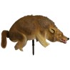 Prédateur Coyote réaliste
