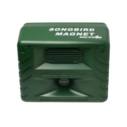 Song Bird Magnet