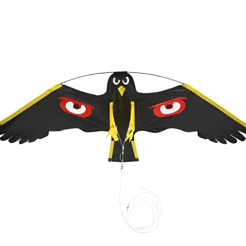 Cerf-Volant Rapace