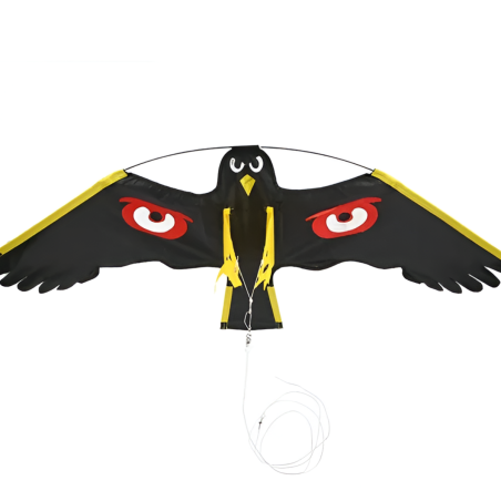 Cerf-Volant Rapace